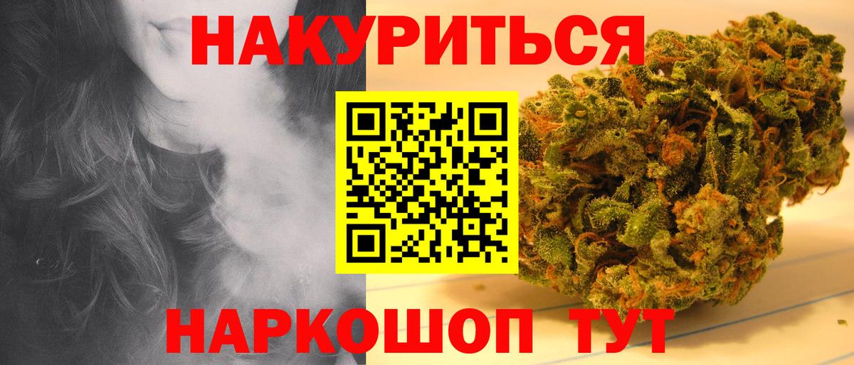 Марихуана сатива Канаш