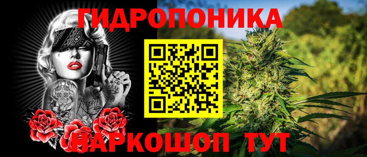 Бошки марихуана Bruce Banner  Марихуана LSD WEED  Вход с VPN  Канаш  Каннабис марихуана 